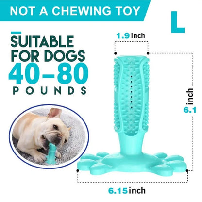 Chew & Gnaw (Large) Toys - Dogs & Cats