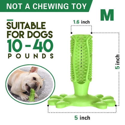 Chew & Gnaw (Small) Toys - Dogs & Cats